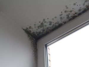 Prejav nedostatočnej výmeny vzduchu na svahoch okien